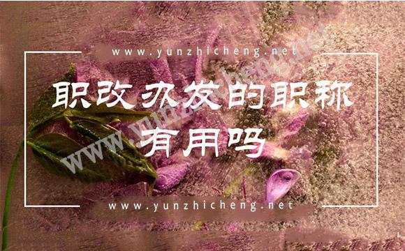 职改办发的职称有用吗
