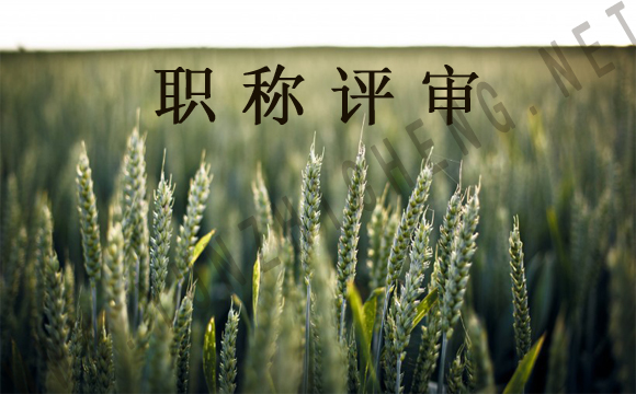 评职称要逐级申报怎么办？中级工程师认定可以帮到你