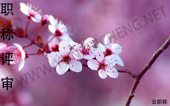 如果你想要获得高级职称，这些环节必不可少