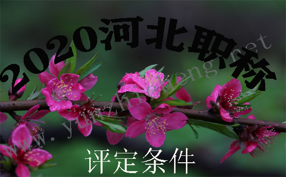 电子工程师的评定标准是什么呢？