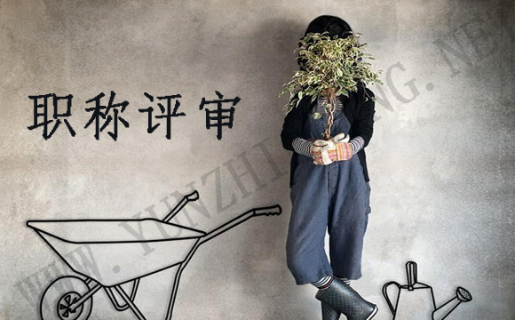 初级、中级、高级职称评定破格申报条件是什么？